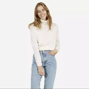 Everlane 100% Cashmere Turtleneck Sweater